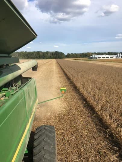 Combine in field of soybeans